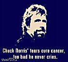 chuck norris tshirt
