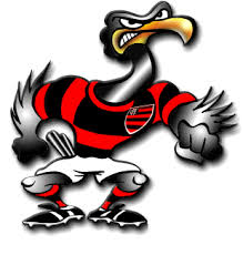 urubu flamengo