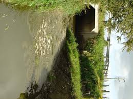 the water pollution