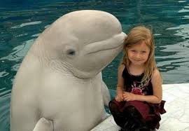 funny pictures for kids