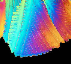 citric acid crystal