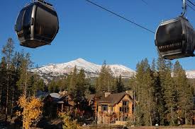 john pringle colorado