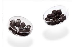 chocolate covered insects