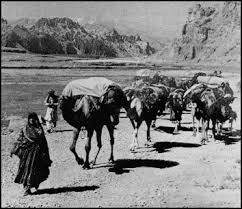 along the silk road