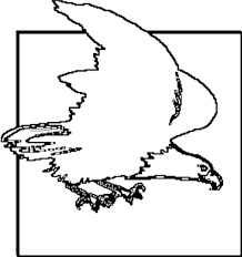 printable food web exercise