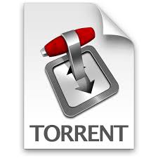 Torrent Nedir ? Torrent