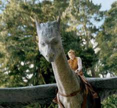eragon