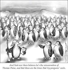 penguin cartoon