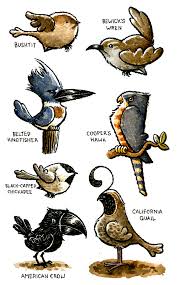 birds of the northwest