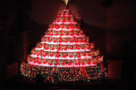 living xmas tree