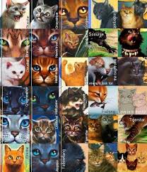 warriors cat book