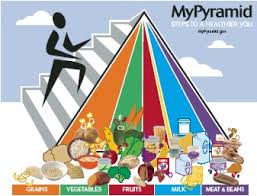 la piramide alimentaria