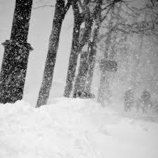 blizzard of 2009