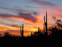 arizona information