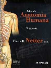 atlas netter