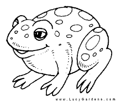 frog coloring sheets