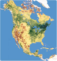 north america