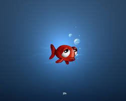 fish wallpaper desktop