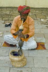 snake charmers flute