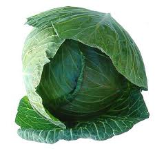 طريقة تخليل الخضروات Cabbage