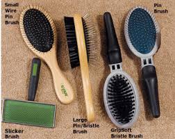 dog brushes and combs