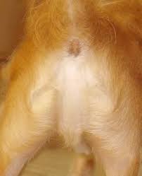 jesus image 0