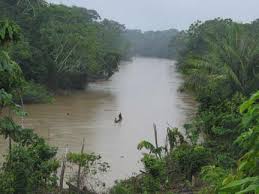 ecuador amazon