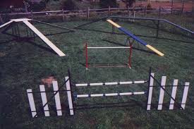 dog obstacles