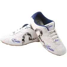 evisu trainers