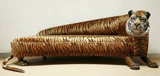 weird furniture
