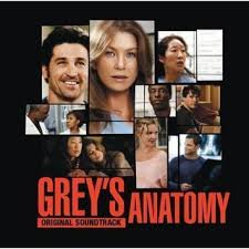 anatomy cds
