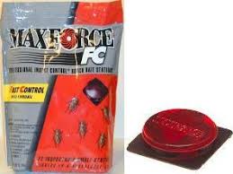 ant bait traps