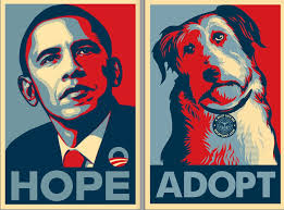 shepard fairey obama