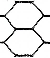 chicken net
