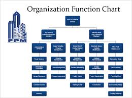 functional organization chart
