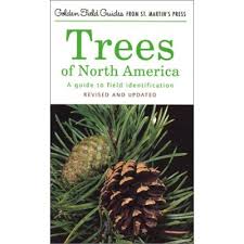 tree identifaction