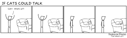 if cats could talk