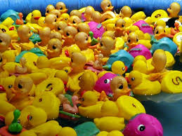 rubber ducks