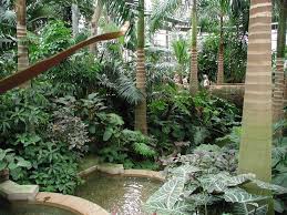 butterfly gardening