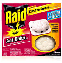 ant bait traps