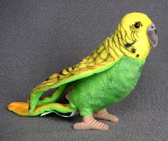 parakeet toy