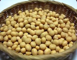 dried soybean