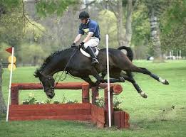 obstacle de cross