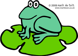 frogs and lily pads