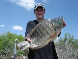 at Falcon Lake, Texas.