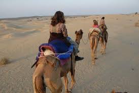 camel safari