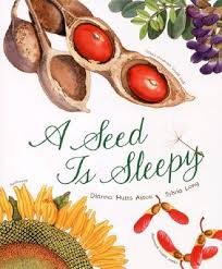 a seed is sleepy