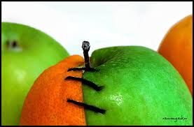 oranges and apples