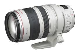 canon 300mm lenses