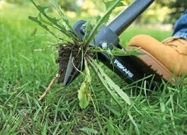 fiskars weeder